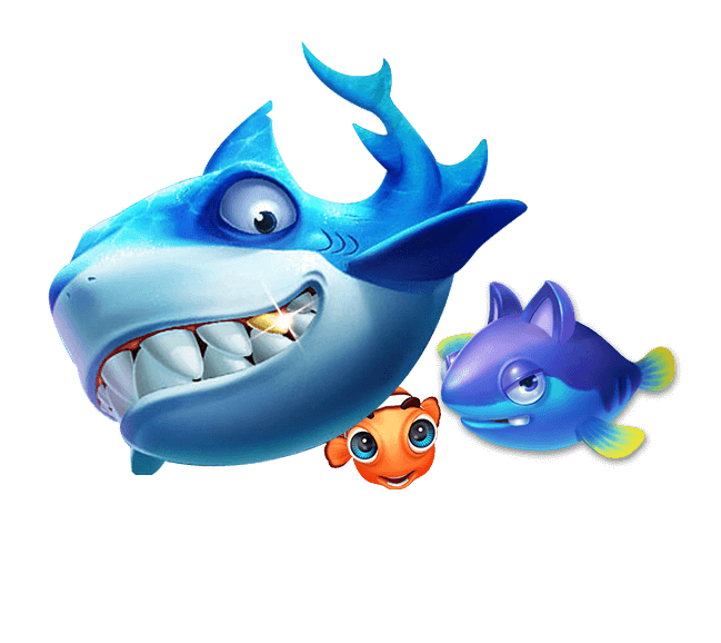 星空·体育综合V5.24.13安卓版 1